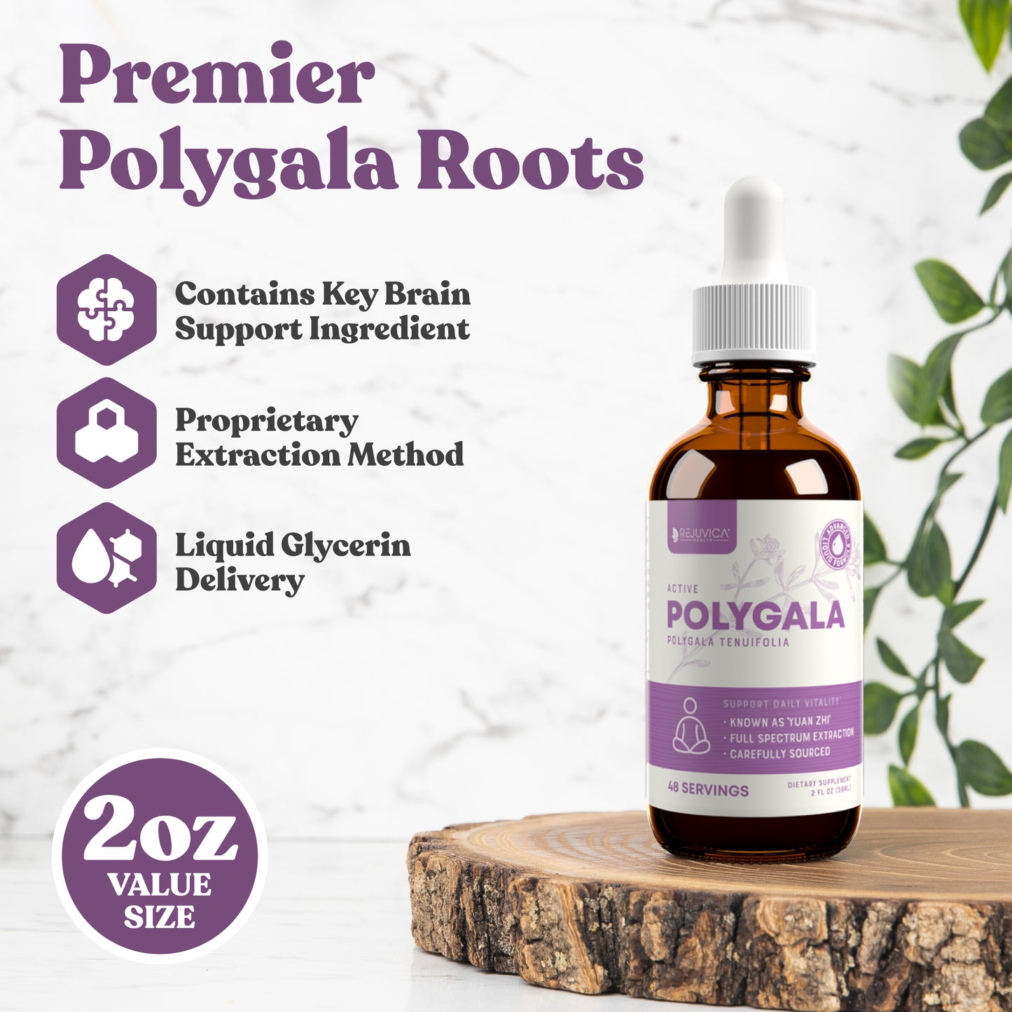 Active Polygala - Advanced Polygala Root Extract